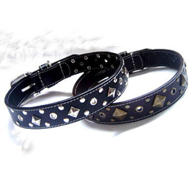 Fancy Dog Collar