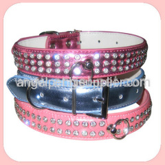 shiny dog collar