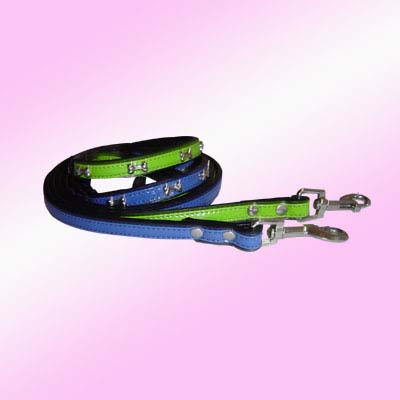  Dog Lead