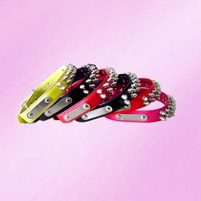 spikes Dog Collar 