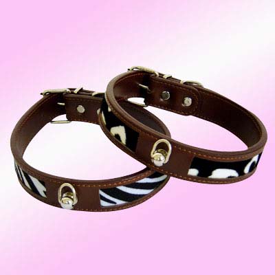 fashion dog collar 