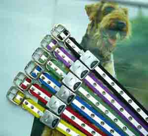 LED Dog Collar, Pet nylon collar