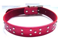 Rhinestone Dog Collar