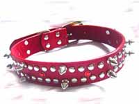 Diamante Dog Collar spikes collar