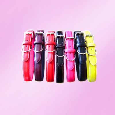 Stylish Dog Collar shiny collar