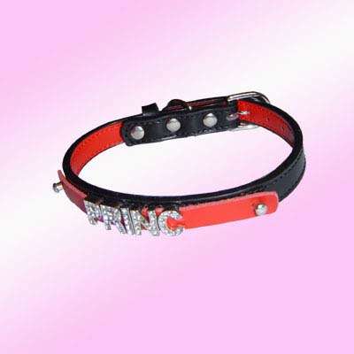 crystal dog collar, cool collar, cute collar