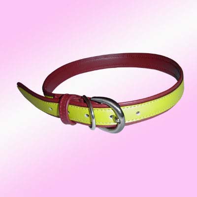 leather Dog Collar, yellow dog collar, Durable collar