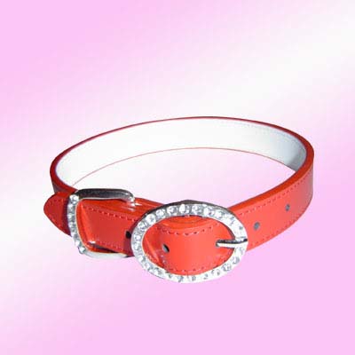 diamante Dog Collar 