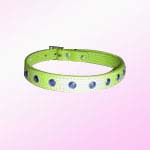 Cute Dog Collar acryls collar green collar