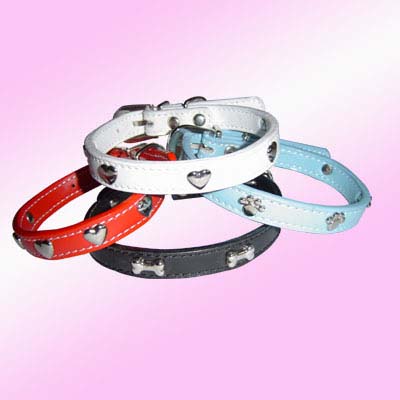 Dog Collar