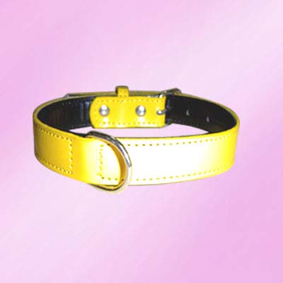 Adjustable Dog Collar, leather dog collar