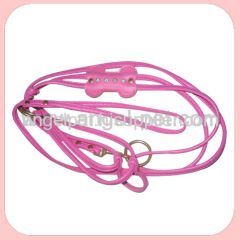 Pet Leash And Collar