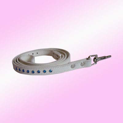 Flexi Dog Leash