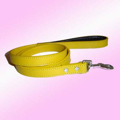 leather Dog Leash