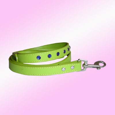  Dog Leash rhinestone