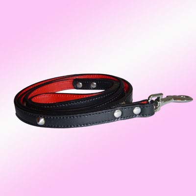 Dog Training Leash