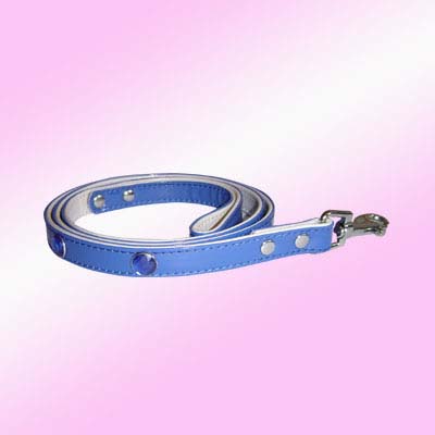 Dog Training Leash