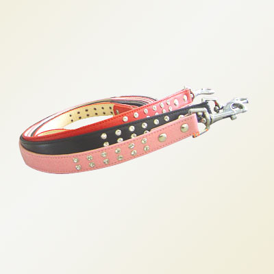 Pet studs Leash