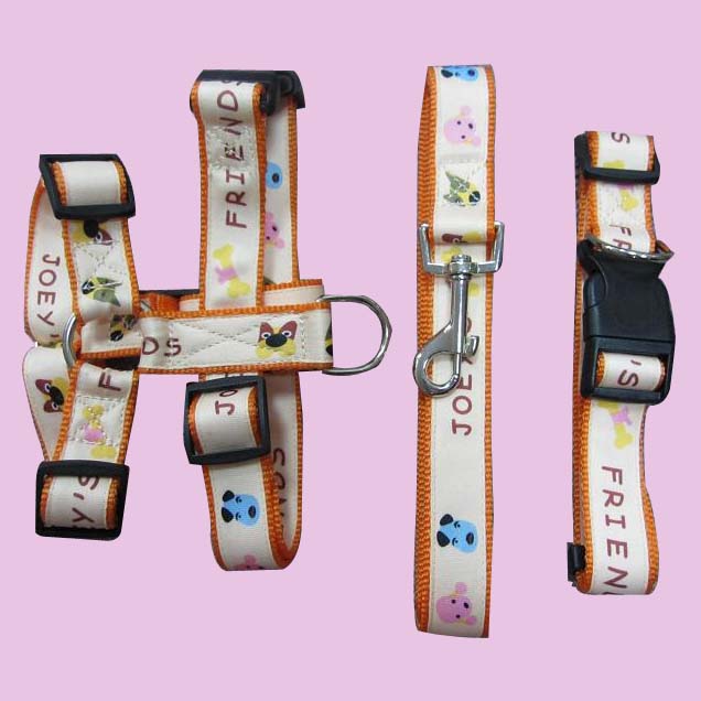 nylon leash collar