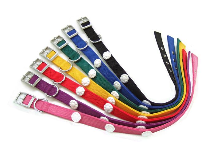 Cat Collar, Dog Collar, Pet Collar 