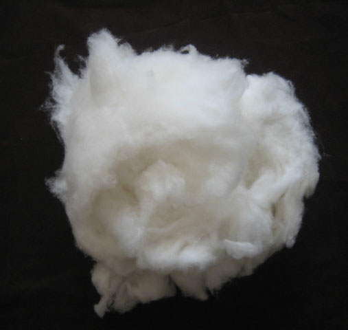 Cashmere Fibre, White Cashmere, Degreased Cashmere