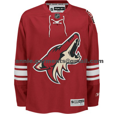 Authentic NHL jersey