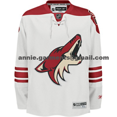 Authentic NHL jersey