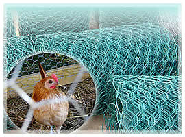 hexagonal wire mesh 