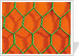 Hexagonal wire mesh