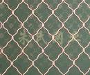 Beautiful grid wire mesh 