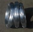 Black iron wire 