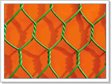 Hexagonal Wire Netting