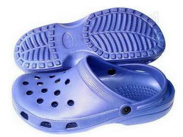 Crocs Shoe