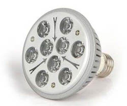 LED Spotlight PAR30-9W