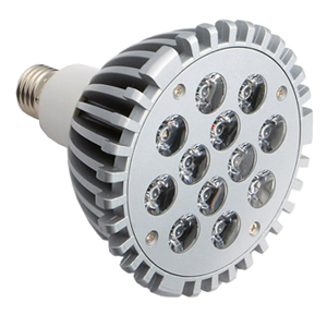 LED Spotlight PAR38-12W