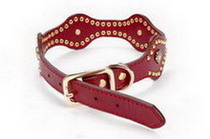 dog collar