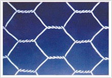 hexagonal wire netting