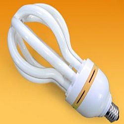 sell lotus energy saving lamp