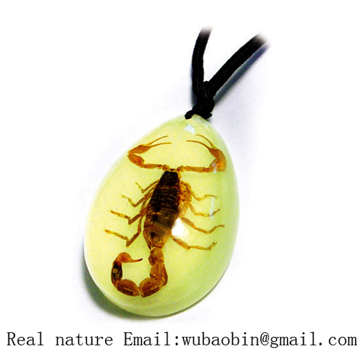 Real insect amber necklace