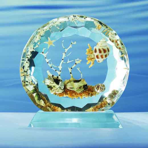 Real sea life amber desktop decoration