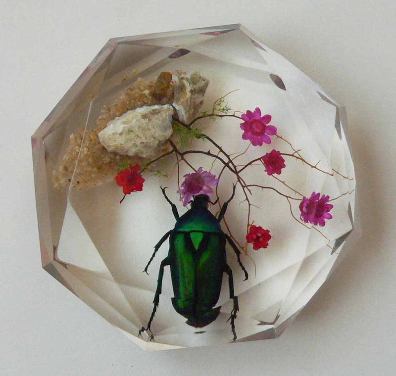 Real insect amber paperweight