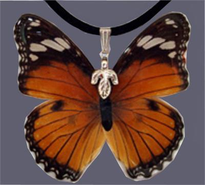  Real butterfly jewelry 