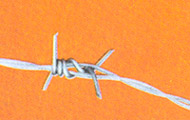 Single Twist Barbed Wire