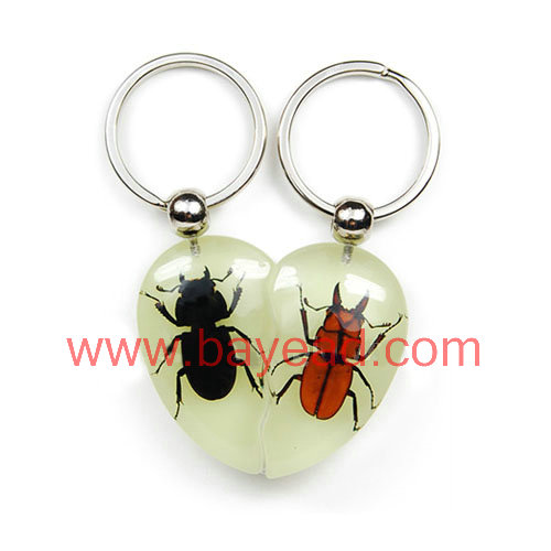 real insect amber keychains, souvenir gift