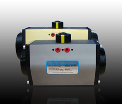 pneumatic actuator