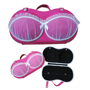 Pretty bra bag for ladies