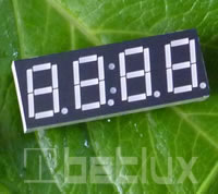 7 segment Numeric display