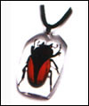 Insect amber jewelry-Pendant