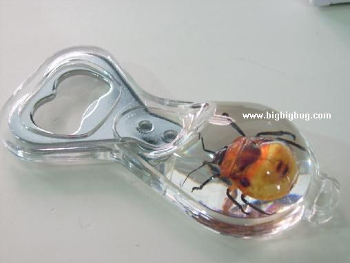 man-made amber bottle opener (insect amber)