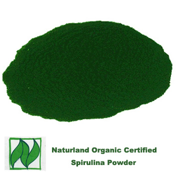 organic spirulina powder